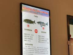 -全乐鱼馆·淳牌有机鱼直营店