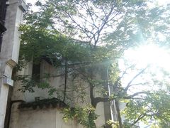 -惠山国家森林公园