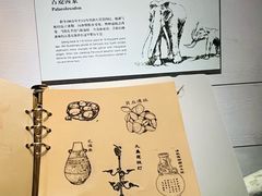 -烟台市博物馆