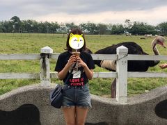 -瑞穗牧场