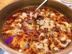 -佳兰雅序融合菜(高新店)