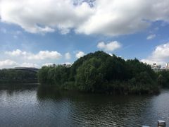 -新江湾城公园
