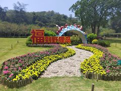 -野狸岛