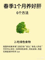 -玛莲朵·海菲秀冰珀科
