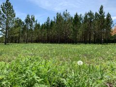 -塞罕坝国家级自然保护区