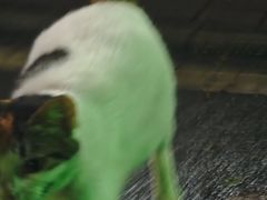-海珠湖公园