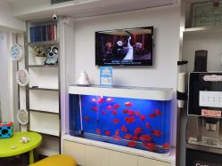 -圣瑞医疗上海圣恩儿科门诊部