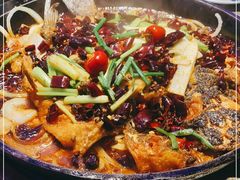 -老板恋上鱼(恒隆广场店)