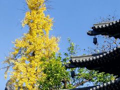 -钱王祠