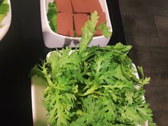 -锅说大脸毛肚重庆老火锅(佐阾店)