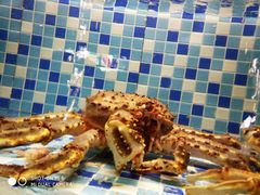 -船奇蒸汽海鲜·闽菜(八市海鲜总店)