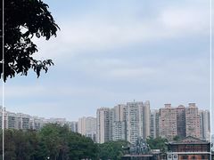 -荔湾湖公园