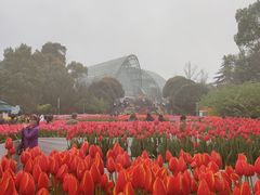 -南山植物园