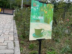 -紫云台香草园