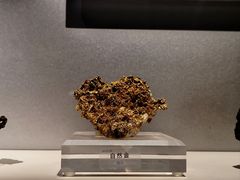 -中国地质博物馆