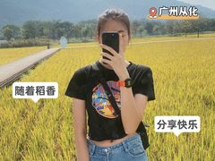 -艾米稻香小镇