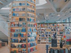-猫的天空之城概念书店(北戴河蔚蓝海岸店)