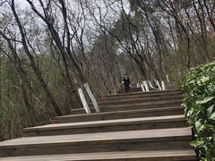 -天目湖山水园
