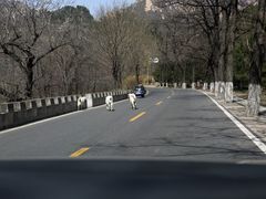 -龙泉峪长城