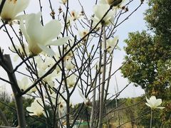 -艾溪湖湿地公园