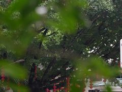 -荔湾湖公园