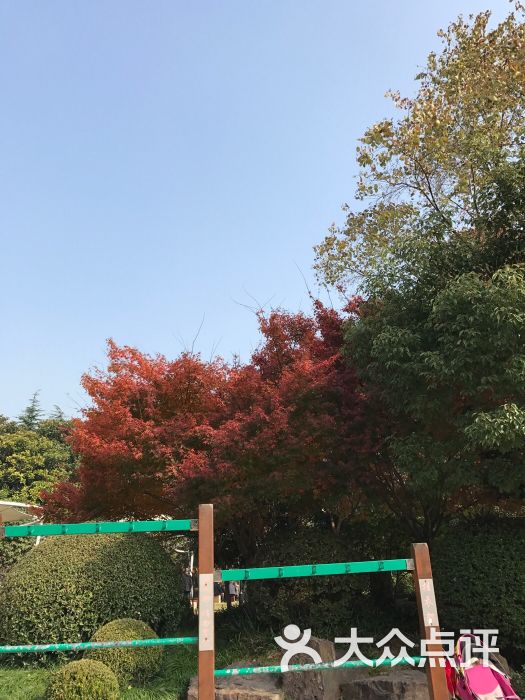 紫薇公园-图片-上海周边游-大众点评网