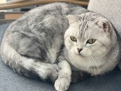 -嘉美宠物医院