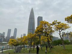 -深圳人才公园