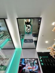 -黑奥秘脱发白发中心