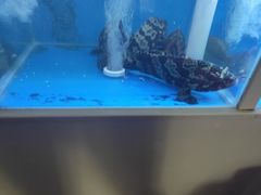 -泮金大塘(北二七路店)