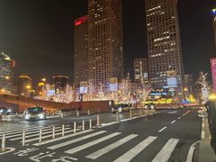 -羲和雅苑•北京烤鸭(国贸商城店)