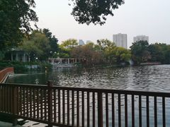 -荔湾湖公园
