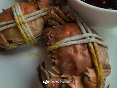 -嘉定凯悦·咖啡厅