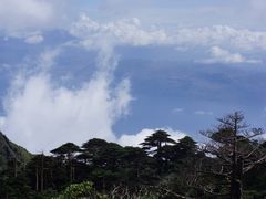 -苍山感通索道