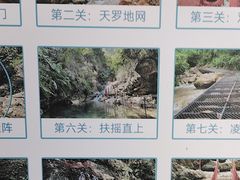 -南海湾森林生态园
