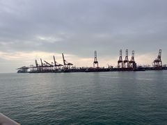 -招商蛇口邮轮母港(观光客运)