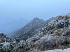 -泰山风景名胜区