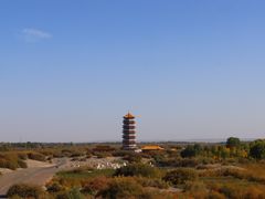-金塔沙漠胡杨林景区
