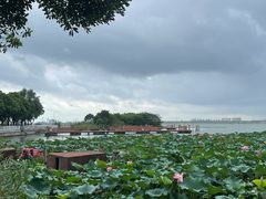 -渔娘蟹庄(阳澄湖莲花岛店)