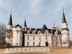 -北京张裕爱斐堡酒庄