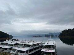 -千岛湖东南湖区