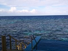 -中央格兰德岛温泉度假酒店 - 全包