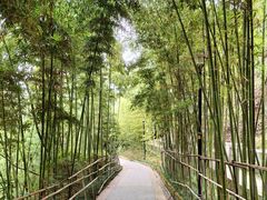 -龙头寺公园