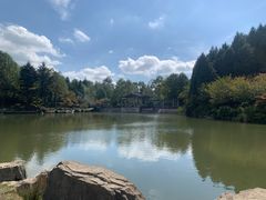 -四明山国家森林公园