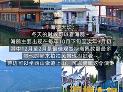 -怡得观滇餐厅·地道昆明菜·1996(海埂大坝店)