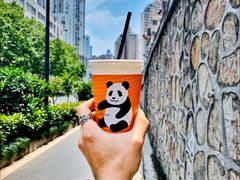 -熊猫一间店欧式奶茶铺