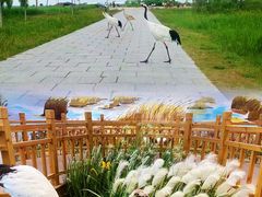 -黑龙江扎龙生态旅游区