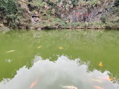 -水濂山森林公园