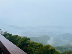 -莫干山风景区