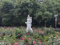 -丰台花园